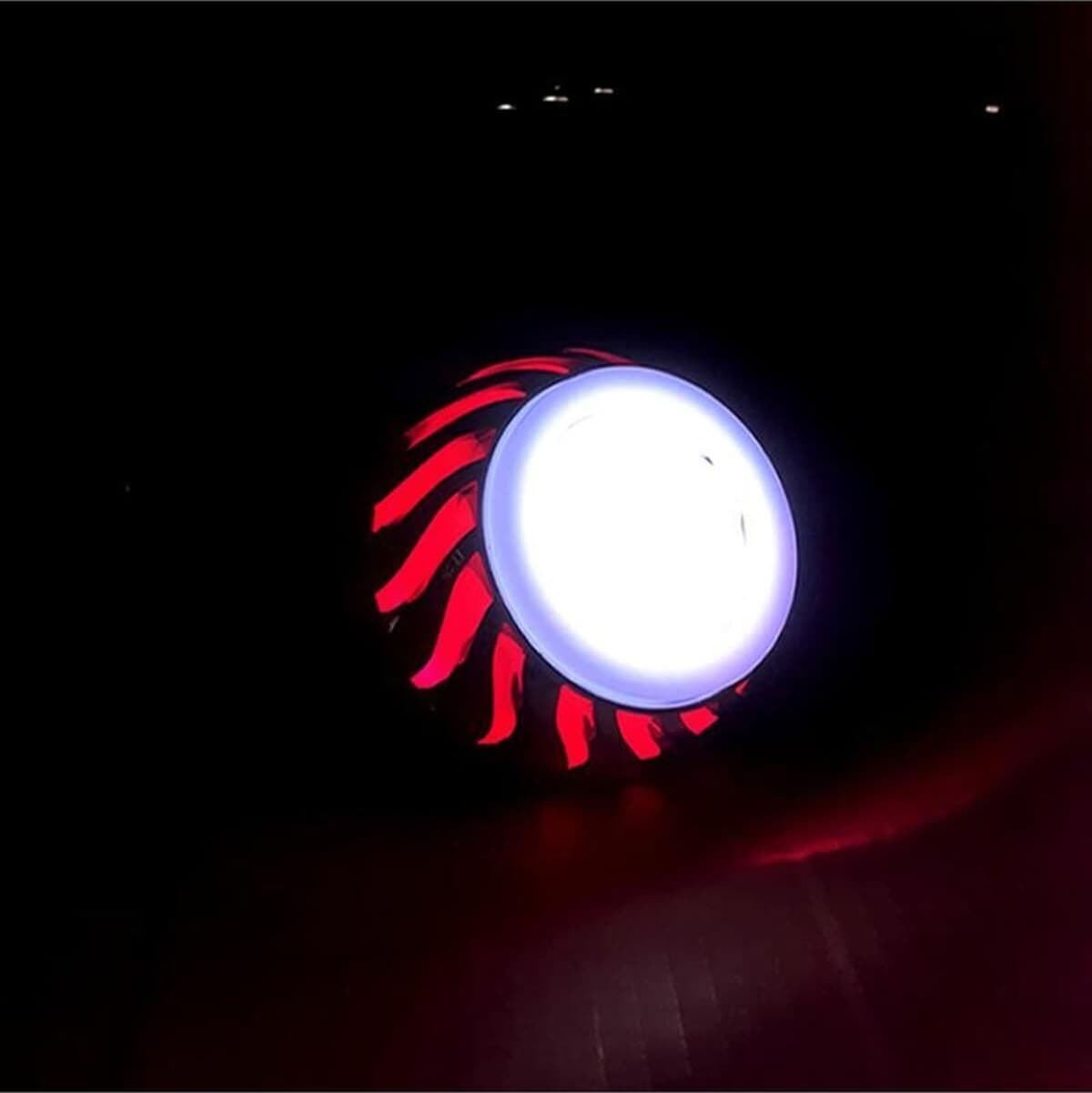 Cg - Çita Angel Far Kırmızı - Mavi Beyaz Çakarlı Angel Far Ampulu - 2