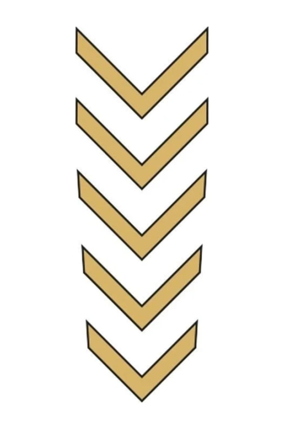 Agk Cg Gold Çamurluk Üst Sticker